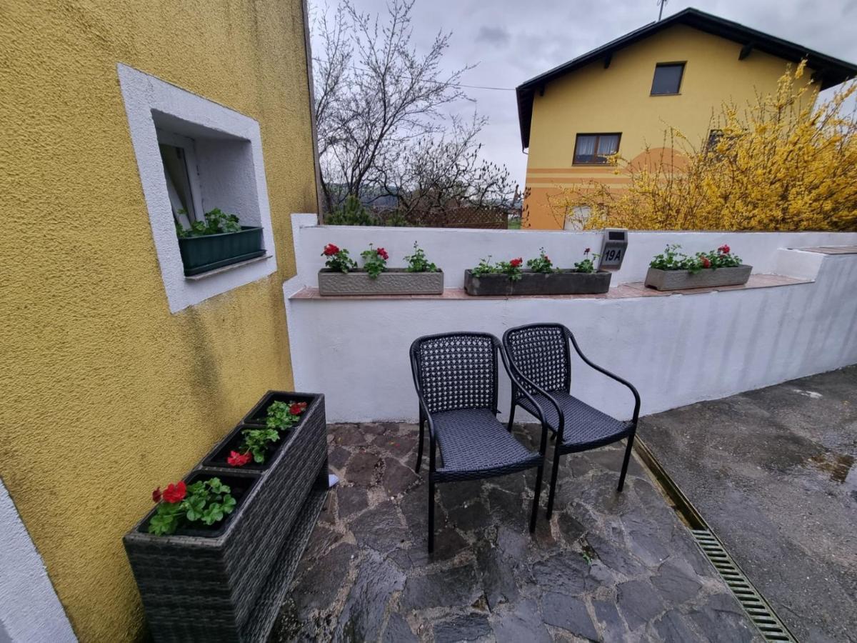Pension Donaublick Grein 2 In Stifterstrasse 19A Esterno foto