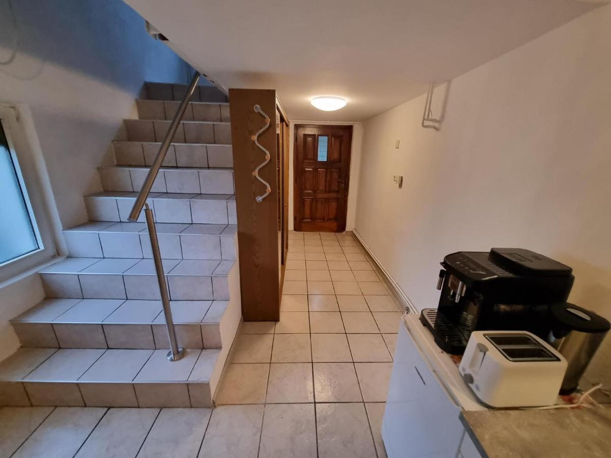 Pension Donaublick Grein 2 In Stifterstrasse 19A Esterno foto