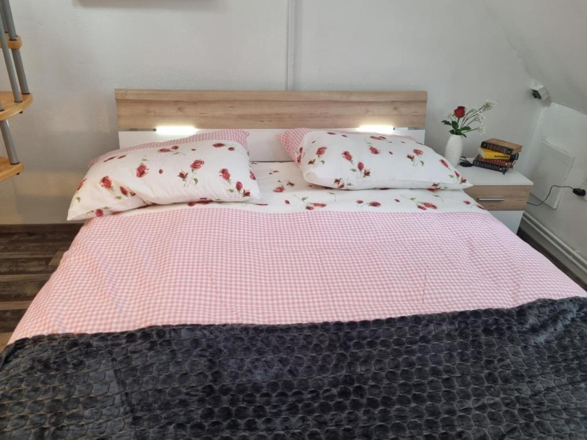Pension Donaublick Grein 2 In Stifterstrasse 19A Esterno foto